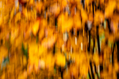 G9_5510