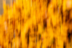 G9_5511