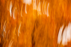 G9_5517