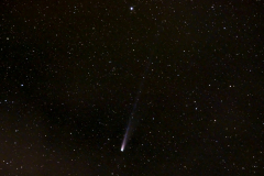 C-2025-A6-lemmon-282s-f39-48mm-Iso6400