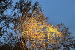 IMG_3089-2-Bearbeitet