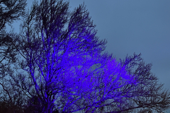 IMG_3090-2-Bearbeitet