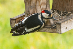 G9_5947-Bearbeitet-2