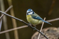 G9_5963-Bearbeitet