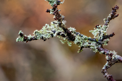 G9_6007-Bearbeitet-2