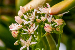 2_G9_6139-Bearbeitet