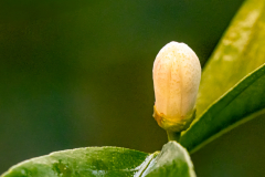 2_G9_6142-Bearbeitet-2-Bearbeitet