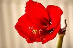 2_G9_6150-Bearbeitet