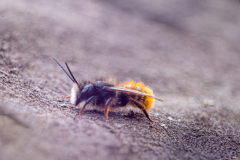G9_7034-Bearbeitet