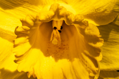 G9_8097