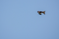 G9_8992-Bearbeitet
