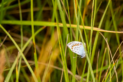 G9_9672-Bearbeitet