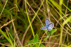G9_9674-Bearbeitet