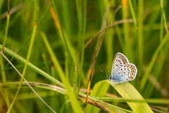 G9_9679-Bearbeitet
