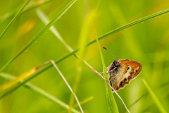G9_9681-Bearbeitet