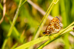 G9_9689-Bearbeitet