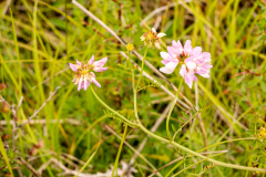 G9_9963