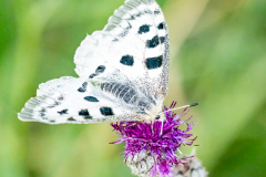 G9_0409-Bearbeitet