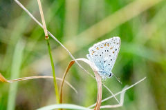 G9_0375-Bearbeitet