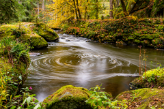 AA171576