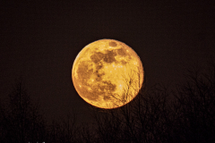 Vollmond