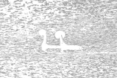 G908493-grafisch