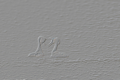 G908495-SD-Relief