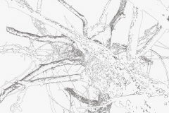 G908901-SD-grafisch