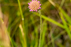G9_9676-Bearbeitet