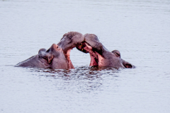 G901207-Bearbeitet-Kopie