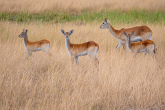 G901347-Bearbeitet-Kopie