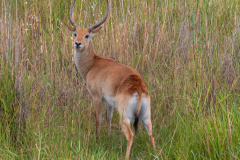 G901583-Bearbeitet-Kopie