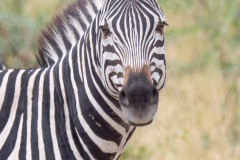 G901628-Bearbeitet-Kopie