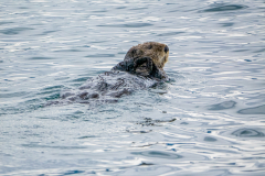 G9_4117-Bearbeitet