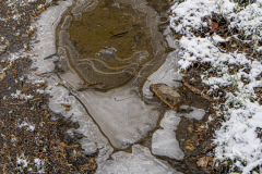 G5_5736