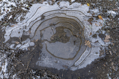 G5_5743