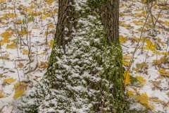 G5_5753-2