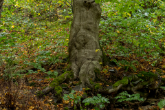 G5_6105