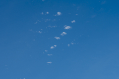 G5_9009