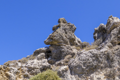 P1010577