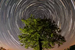 Startrail Nordhimmel