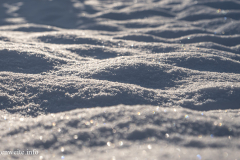 Schneeprofile