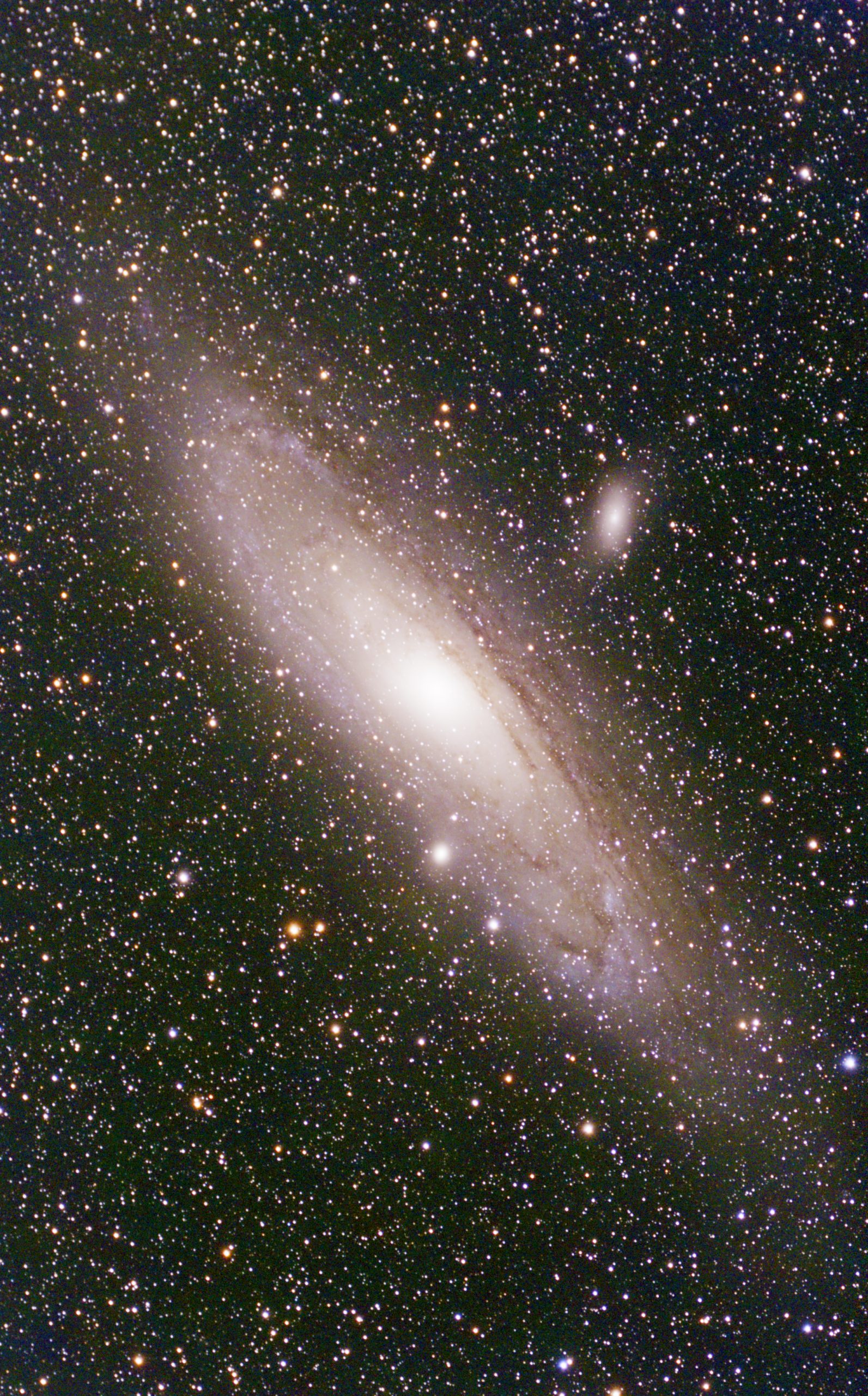 Andromeda Galaxie M31