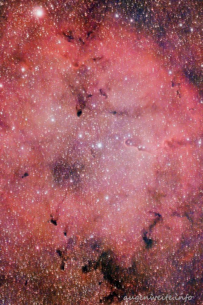 Astrofoto vom Elephantenrüsselnebel
